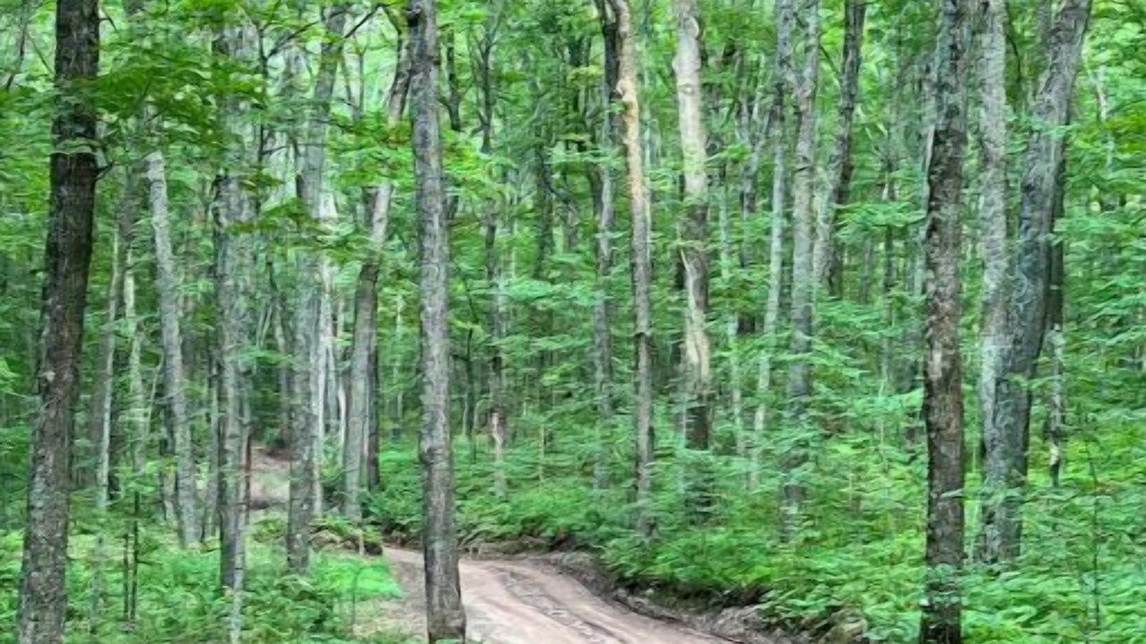 Photo of Outdoor in Ironwood
