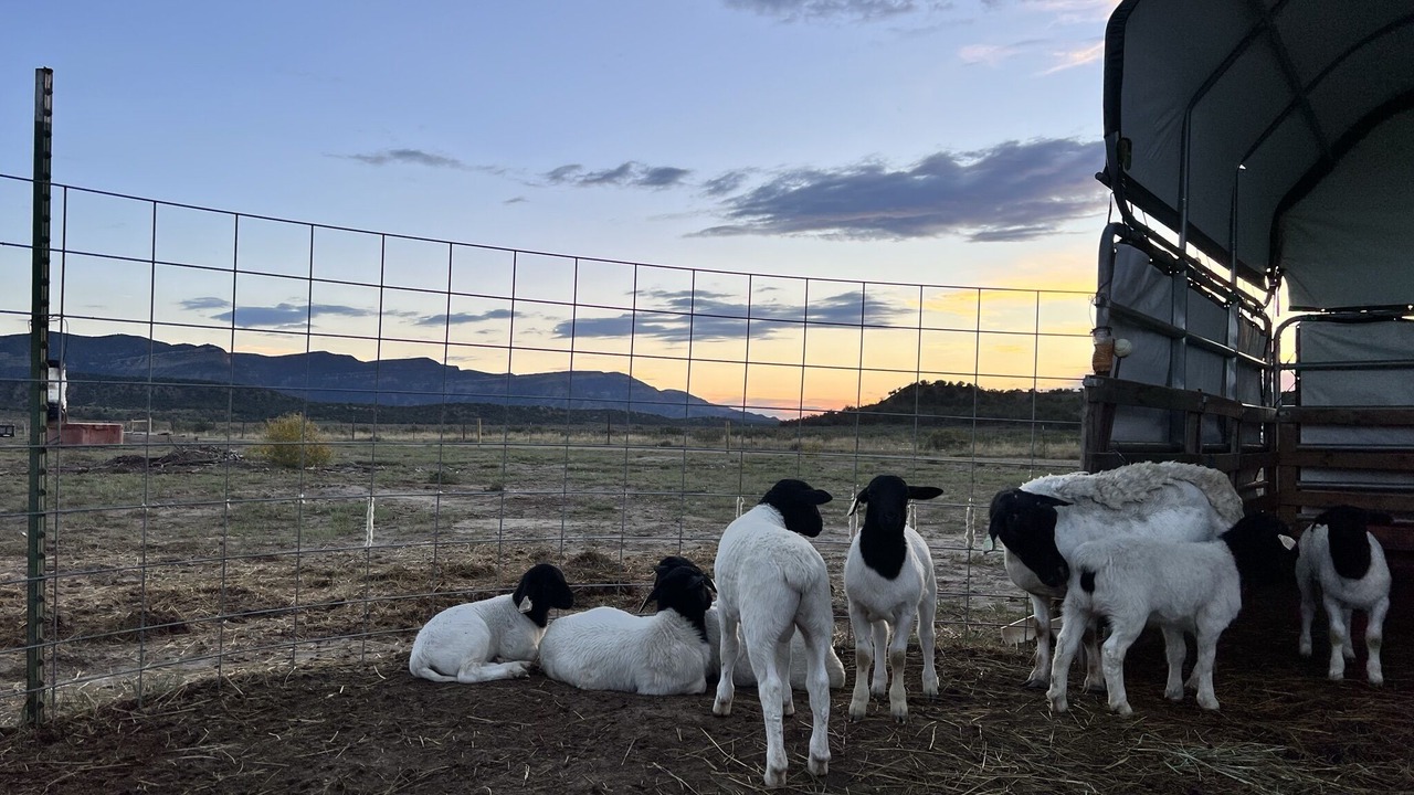 Photo of Others in Cortez