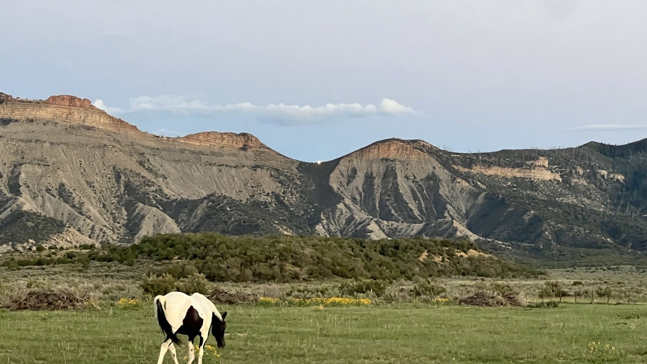 Photo of Others in Cortez