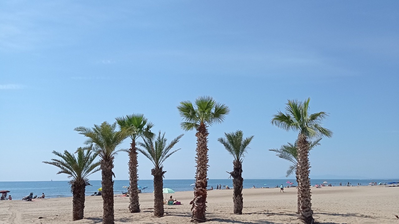 Photo of Others in Narbonne-Plage