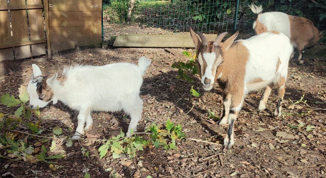 Photo of Others in Azur