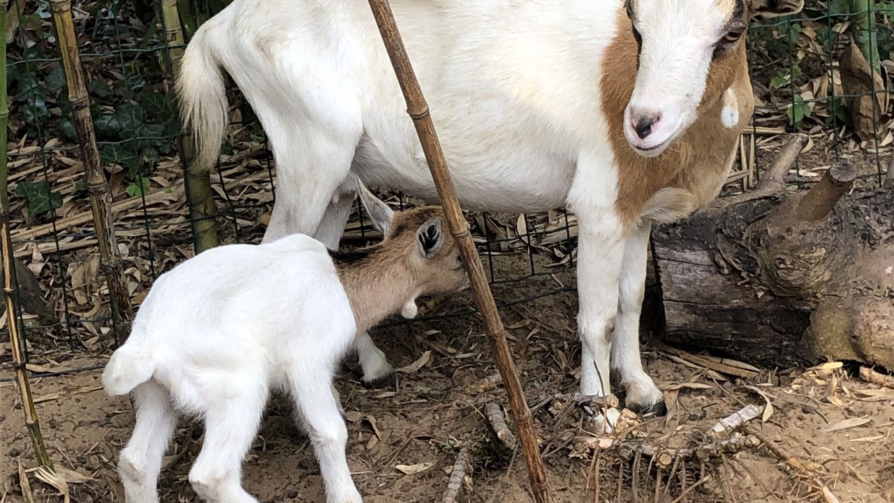 Photo of Others in Azur