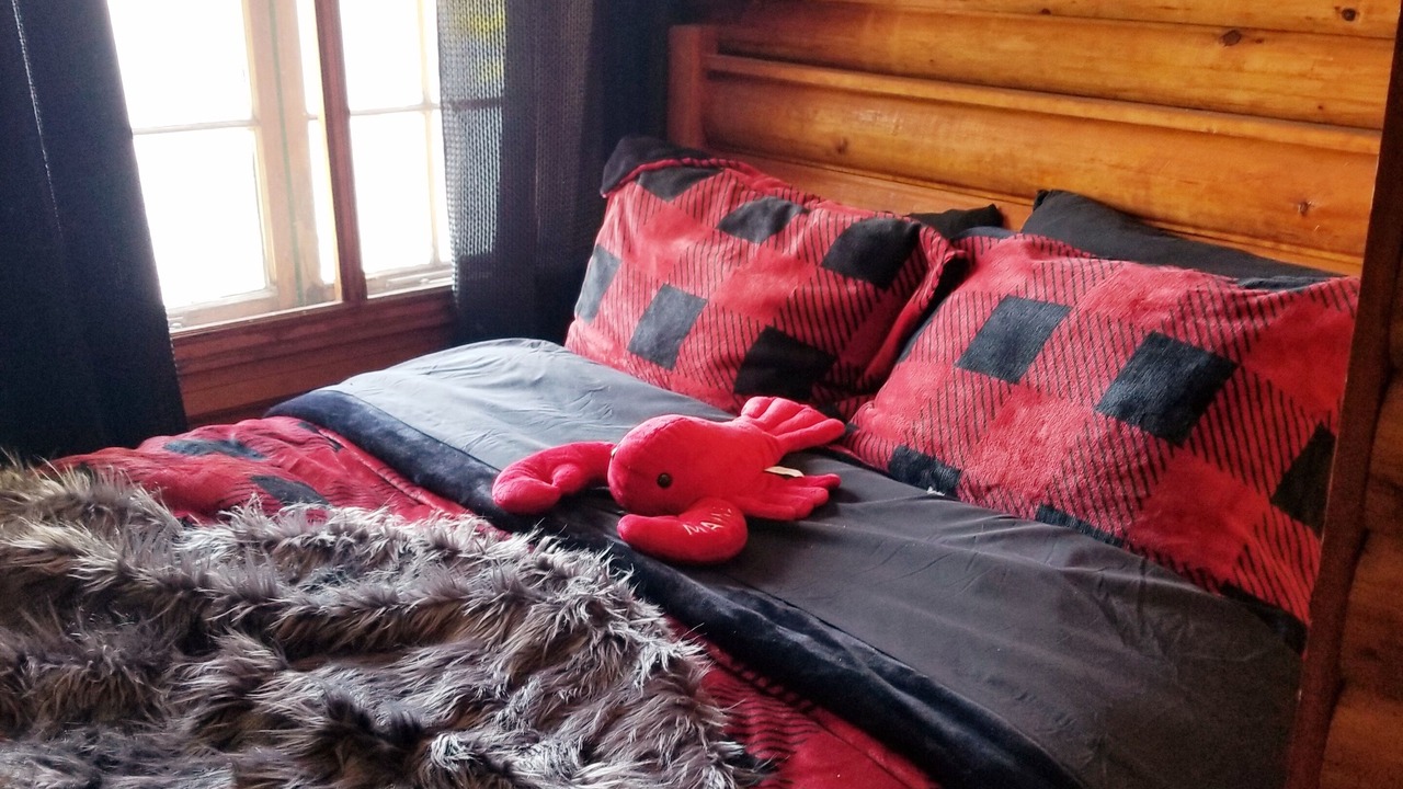 Photo of Bedroom in Lakeville