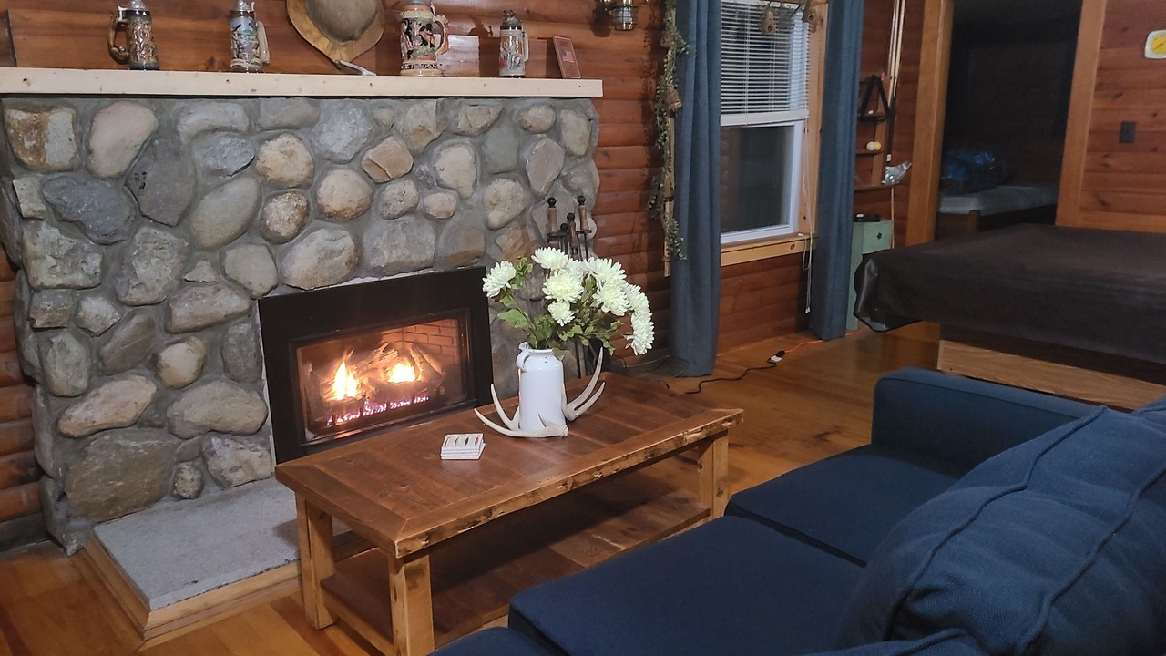 Photo of Livingroom in Lakeville