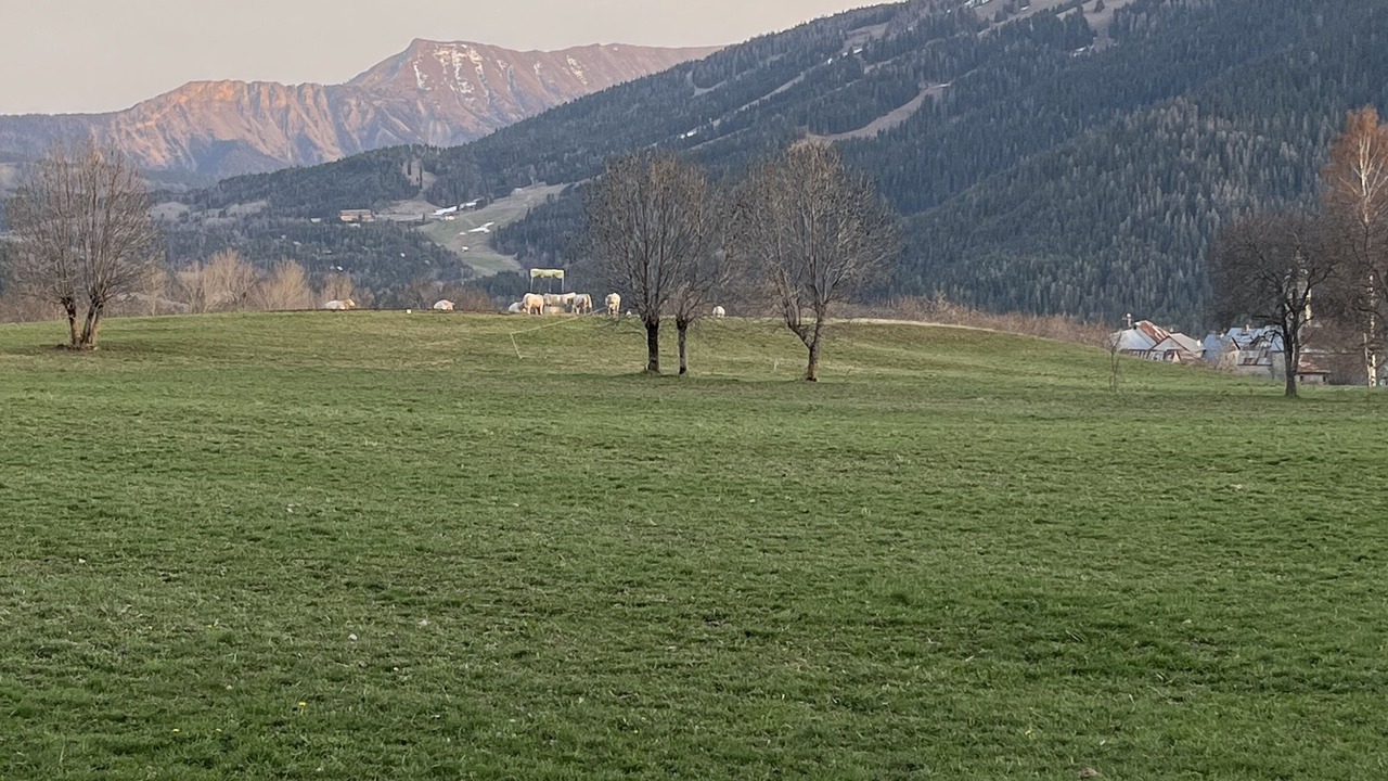 Photo of Others in Seyne