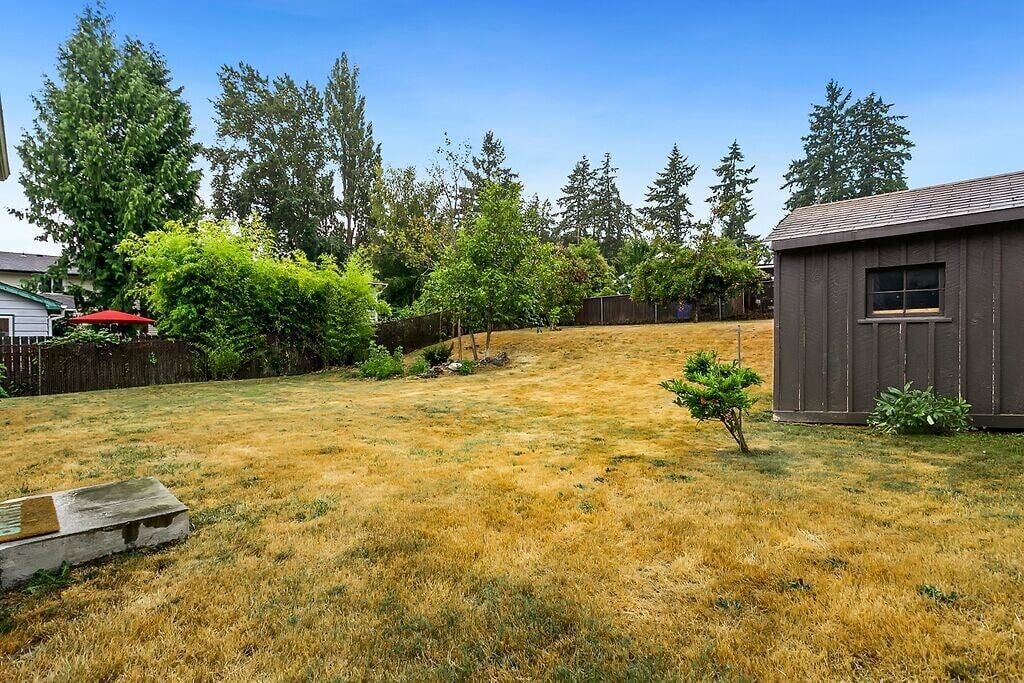 Photo of Outdoor in Shoreline