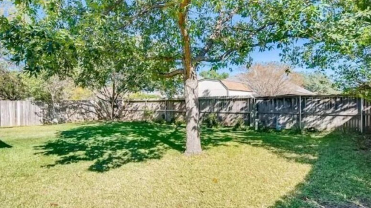 Photo of Outdoor in Springbrook