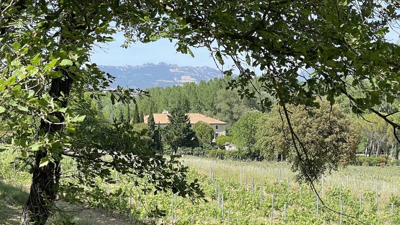 Photo of Outdoor in Loriol-du-Comtat