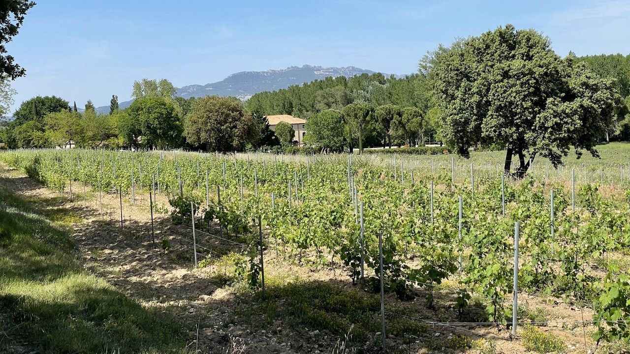 Photo of Outdoor in Loriol-du-Comtat