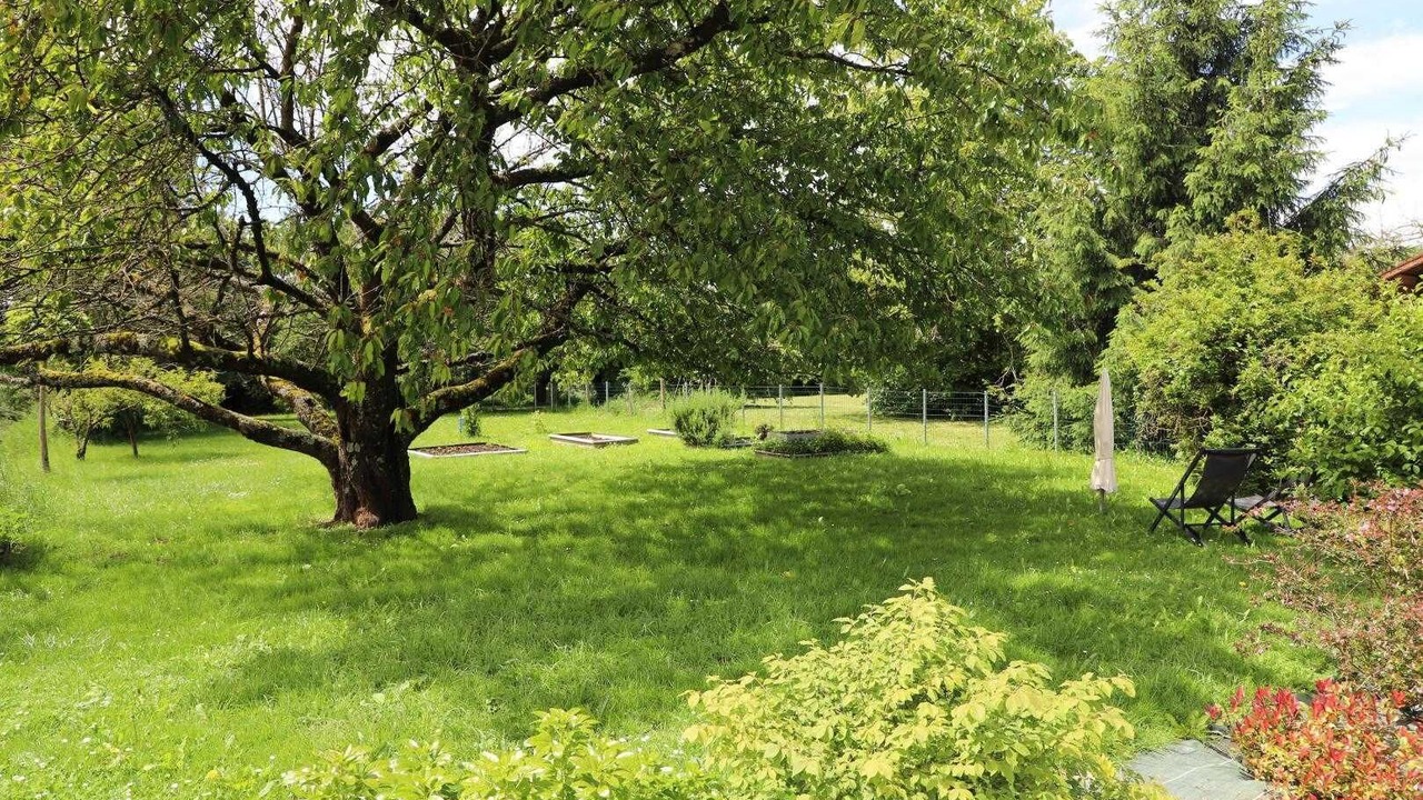 Photo of Outdoor in Montbellet