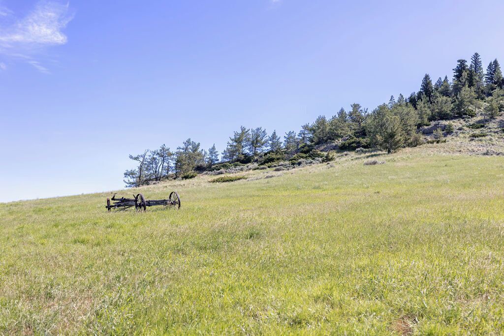 Photo of Others in Big Timber