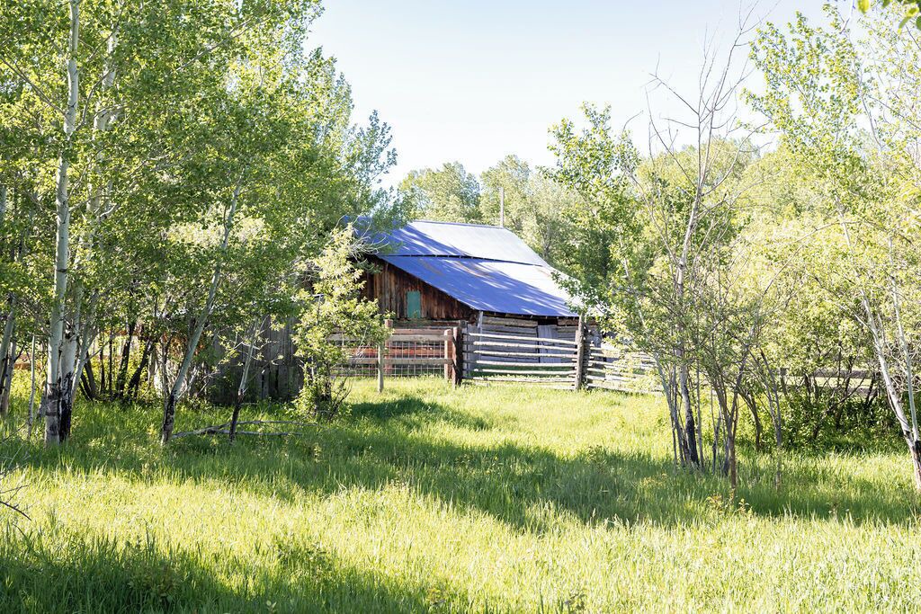 Photo of Others in Big Timber