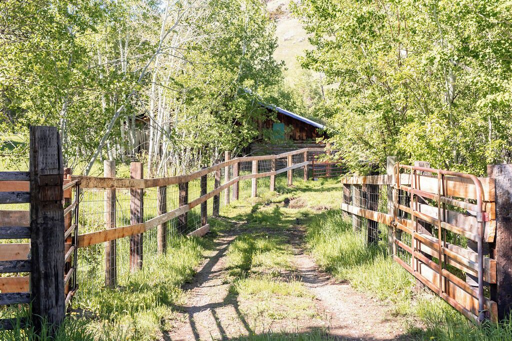 Photo of Outdoor in Big Timber