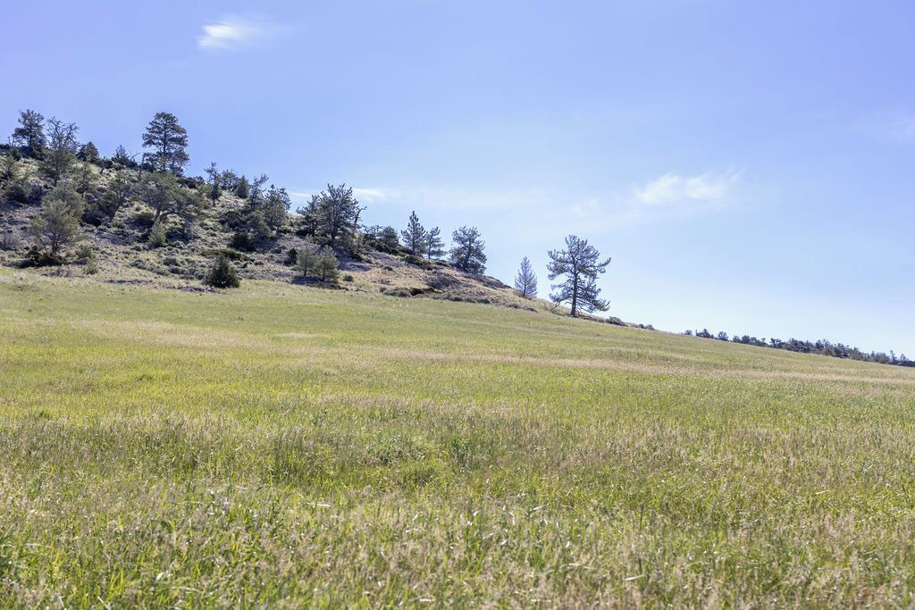 Photo of Others in Big Timber