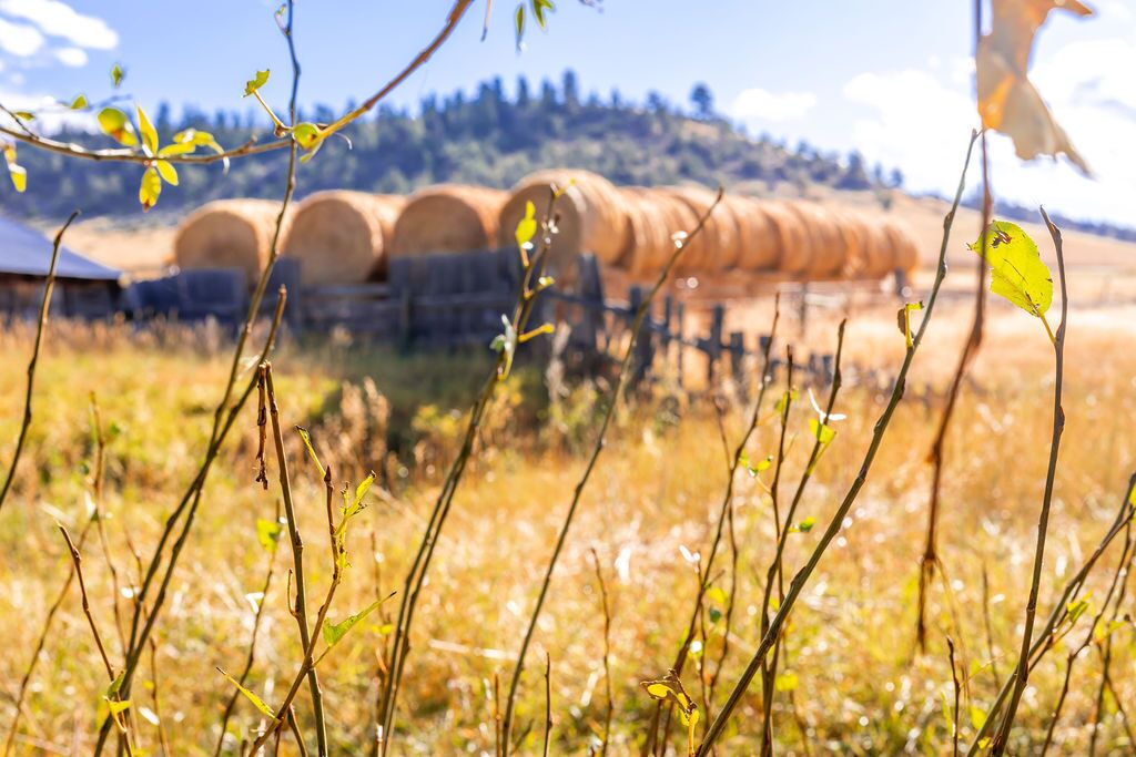 Photo of Outdoor in Big Timber