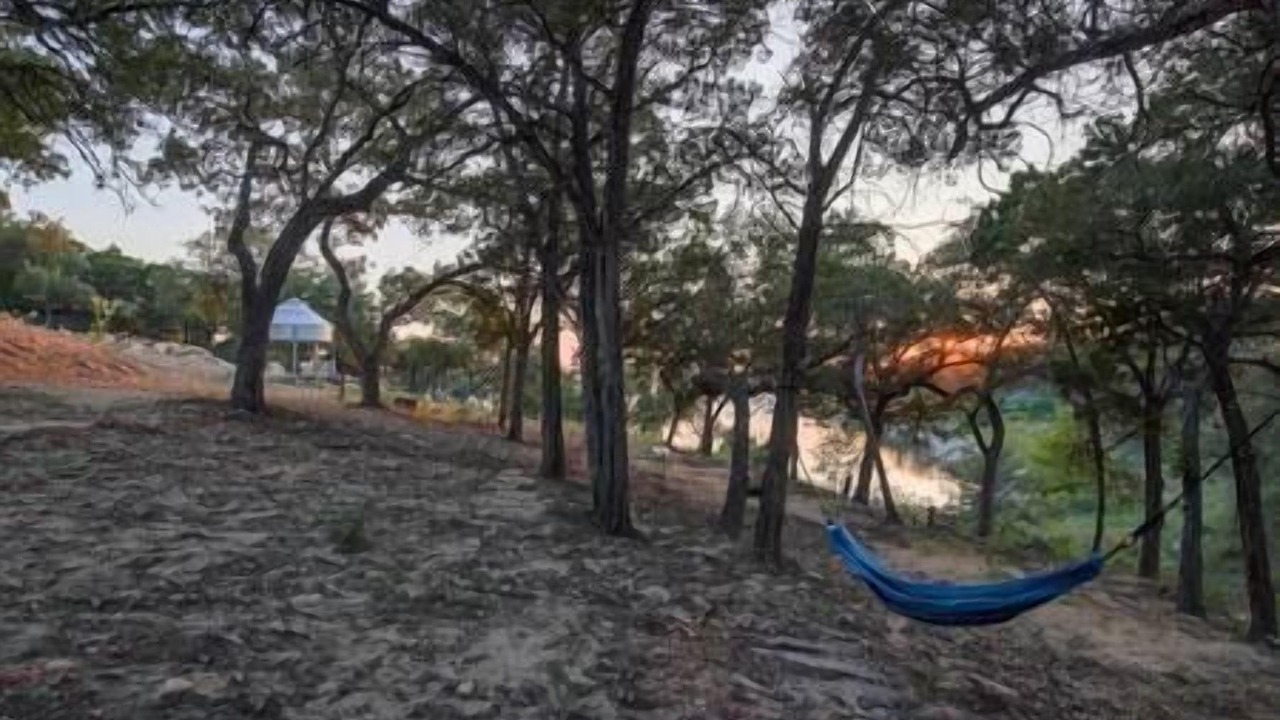 Photo of Others in Canyon Lake