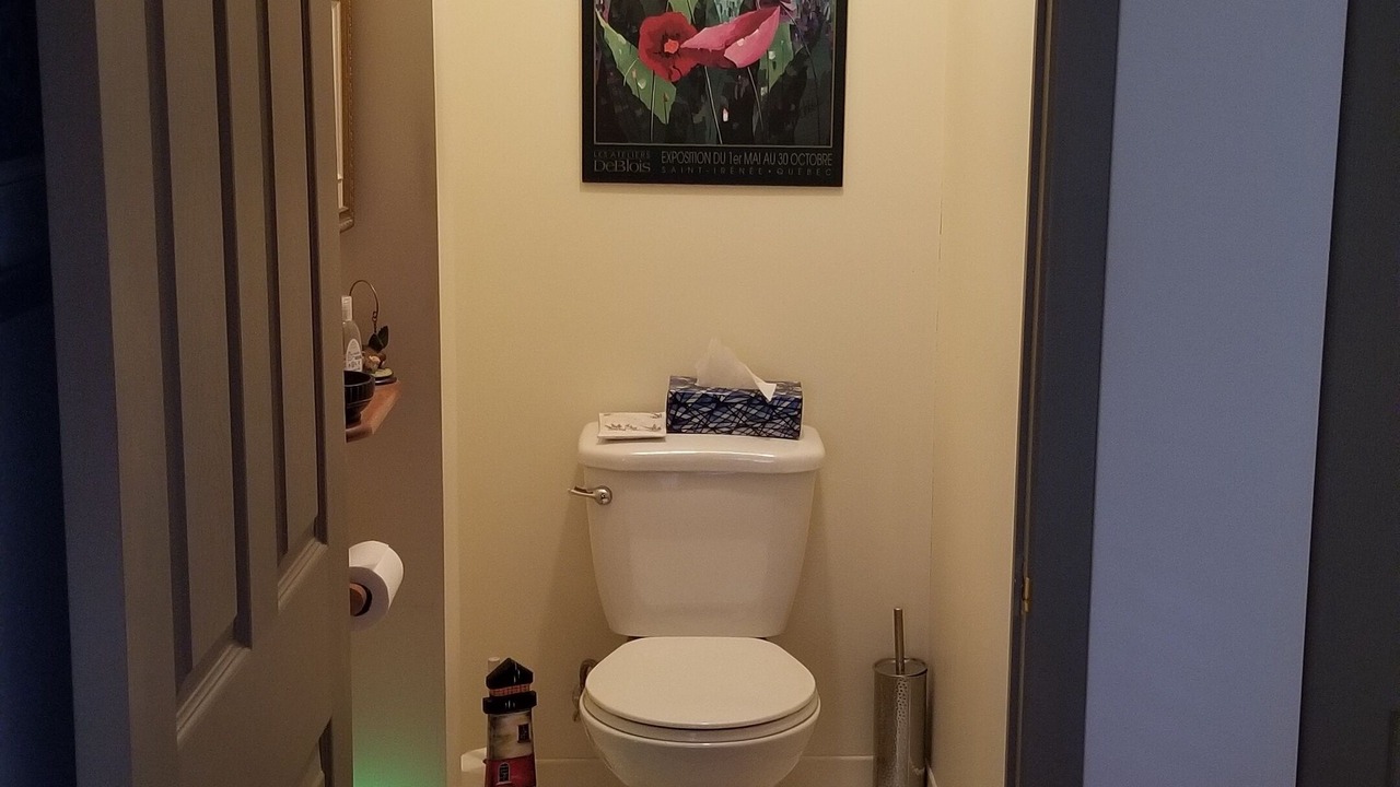 Photo of Bathroom in Saint-David-de-Falardeau