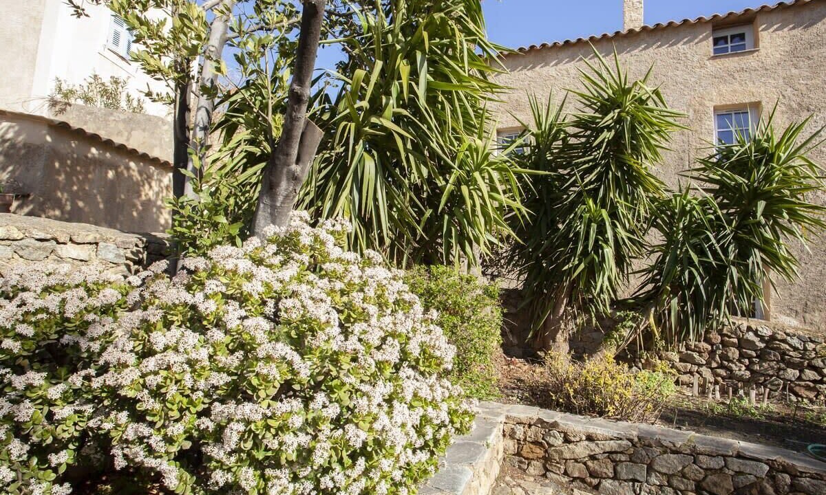 Photo of Outdoor in Pigna