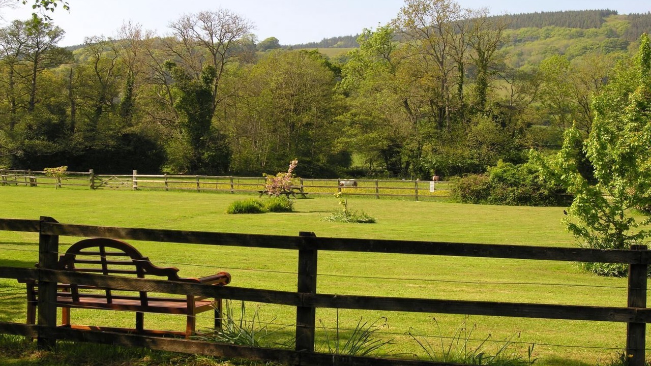 Photo of Others in Minehead