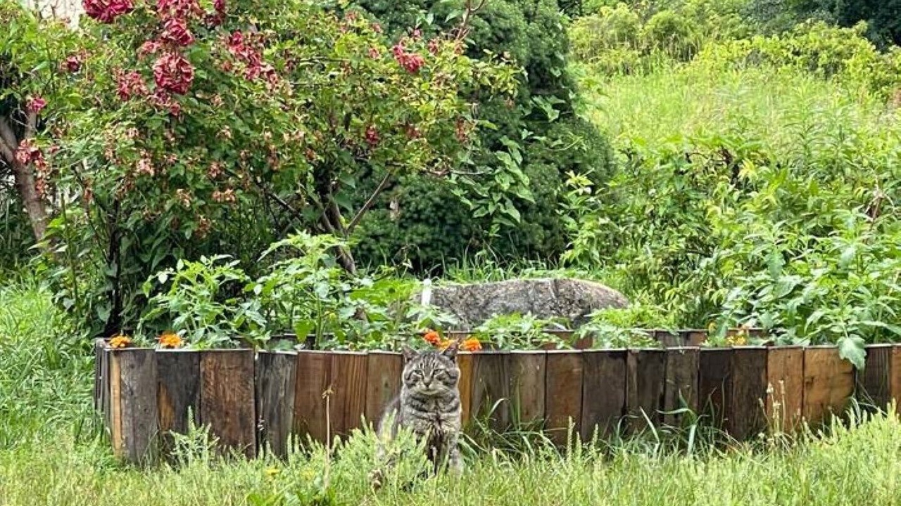 Photo of Outdoor in Middleburgh