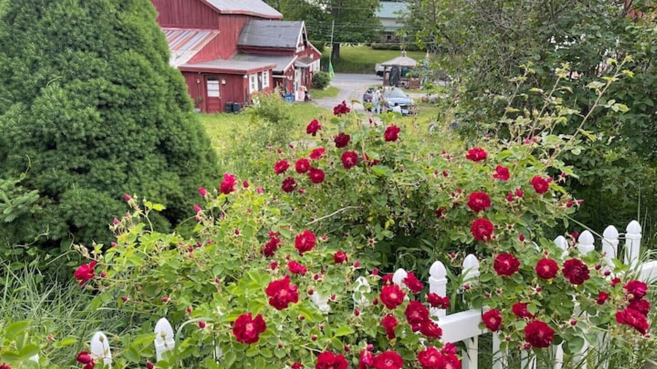 Photo of Outdoor in Middleburgh
