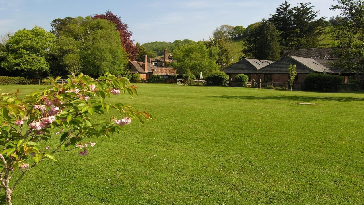 Photo of Others in Minehead