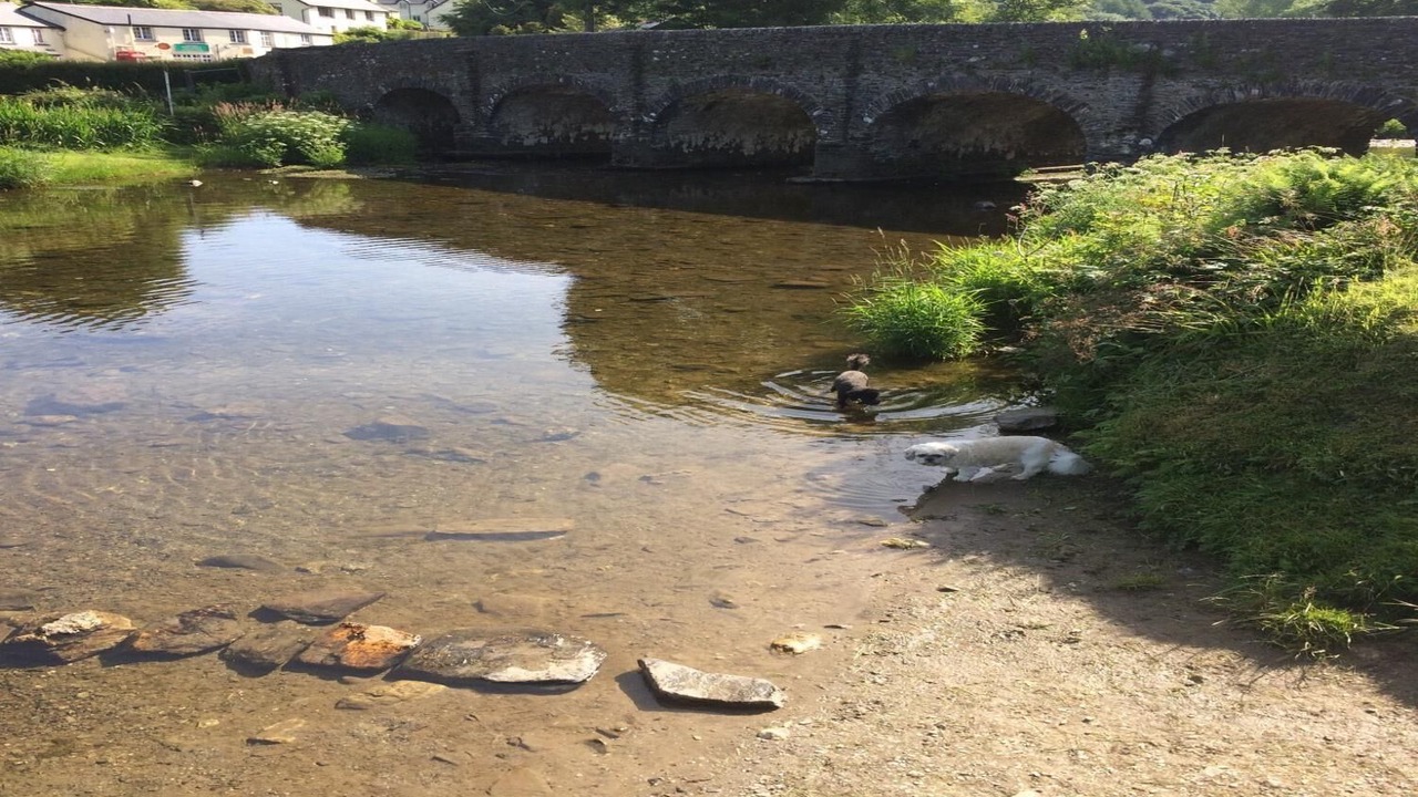 Photo of Others in Withypool