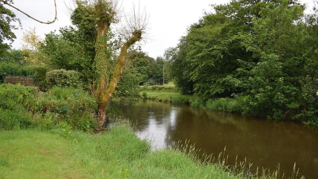 Photo of Others in Withypool