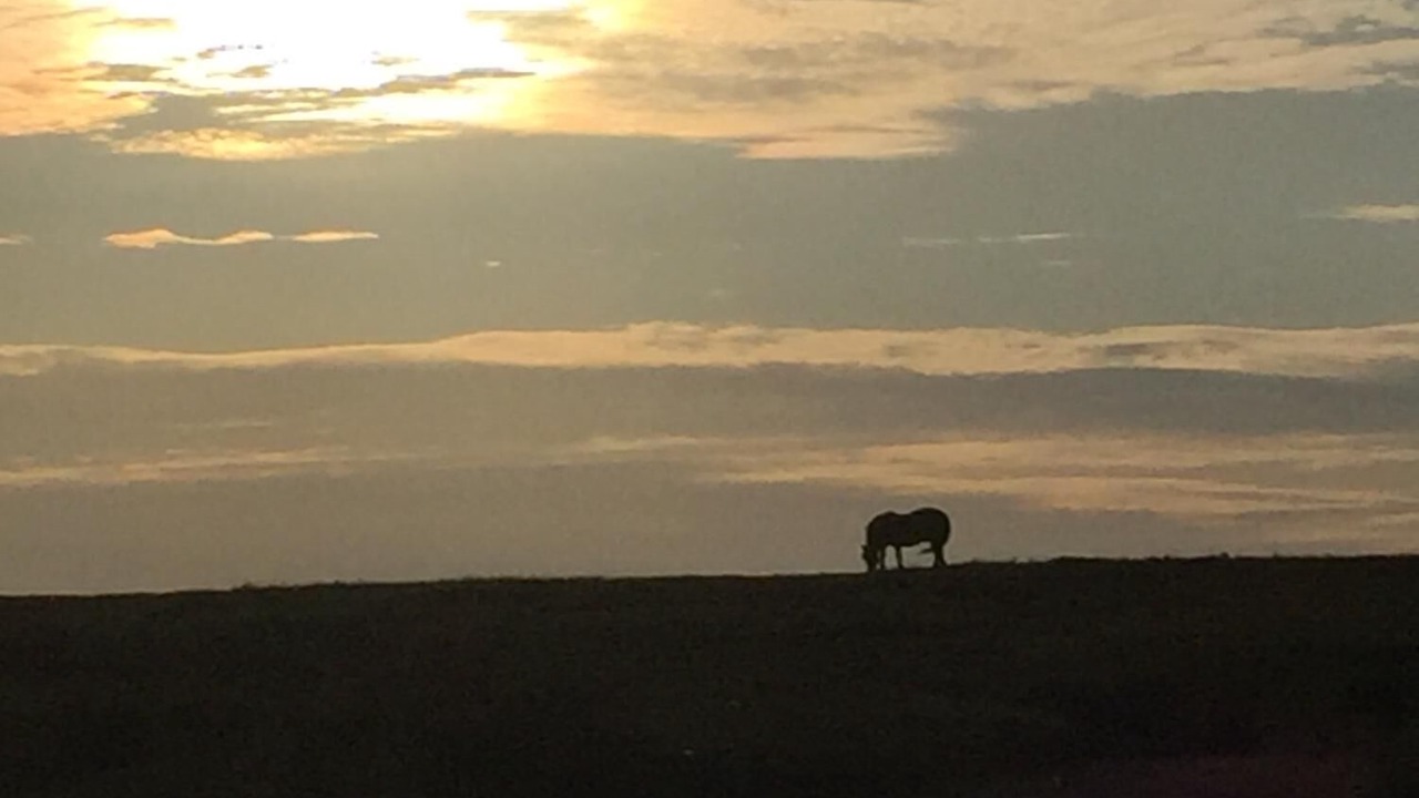 Photo of Others in Withypool