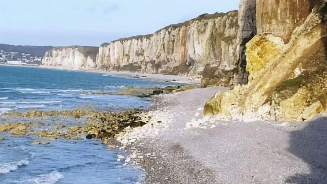 Photo of Others in Fecamp