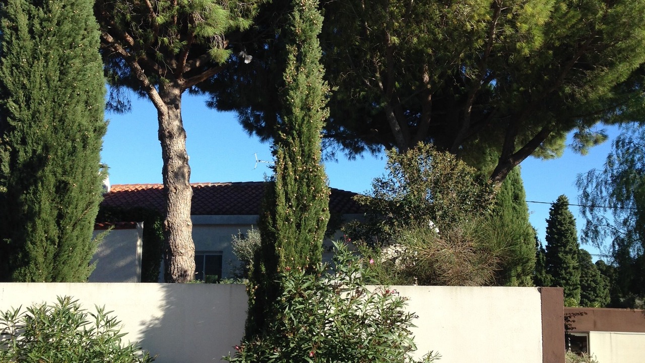 Photo of Outdoor in Baixas