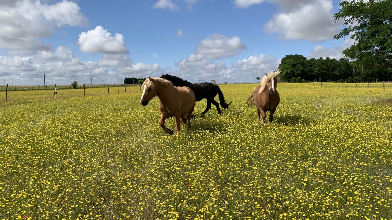 Photo of Others in Josnes