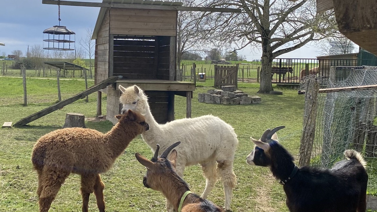 Photo of Outdoor in Josnes