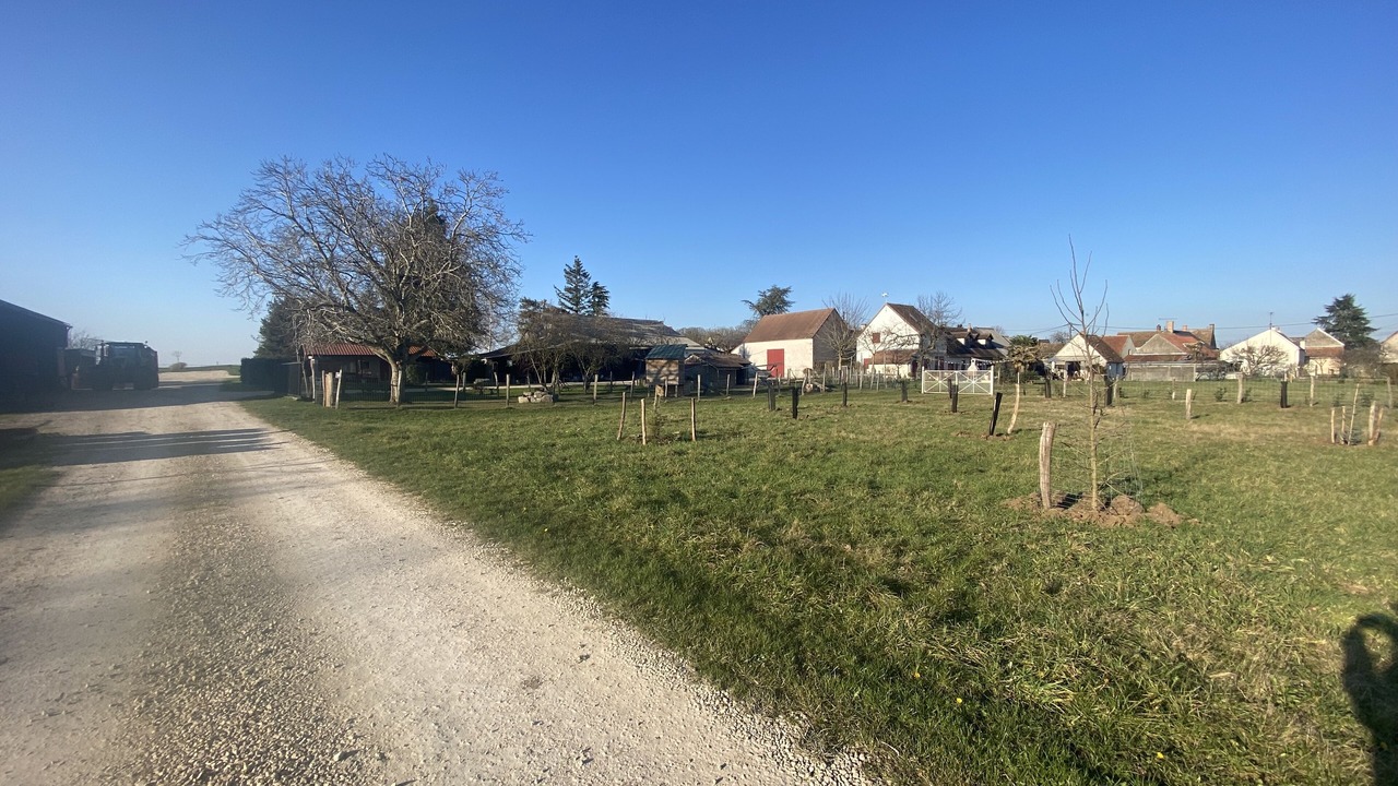 Photo of Others in Josnes