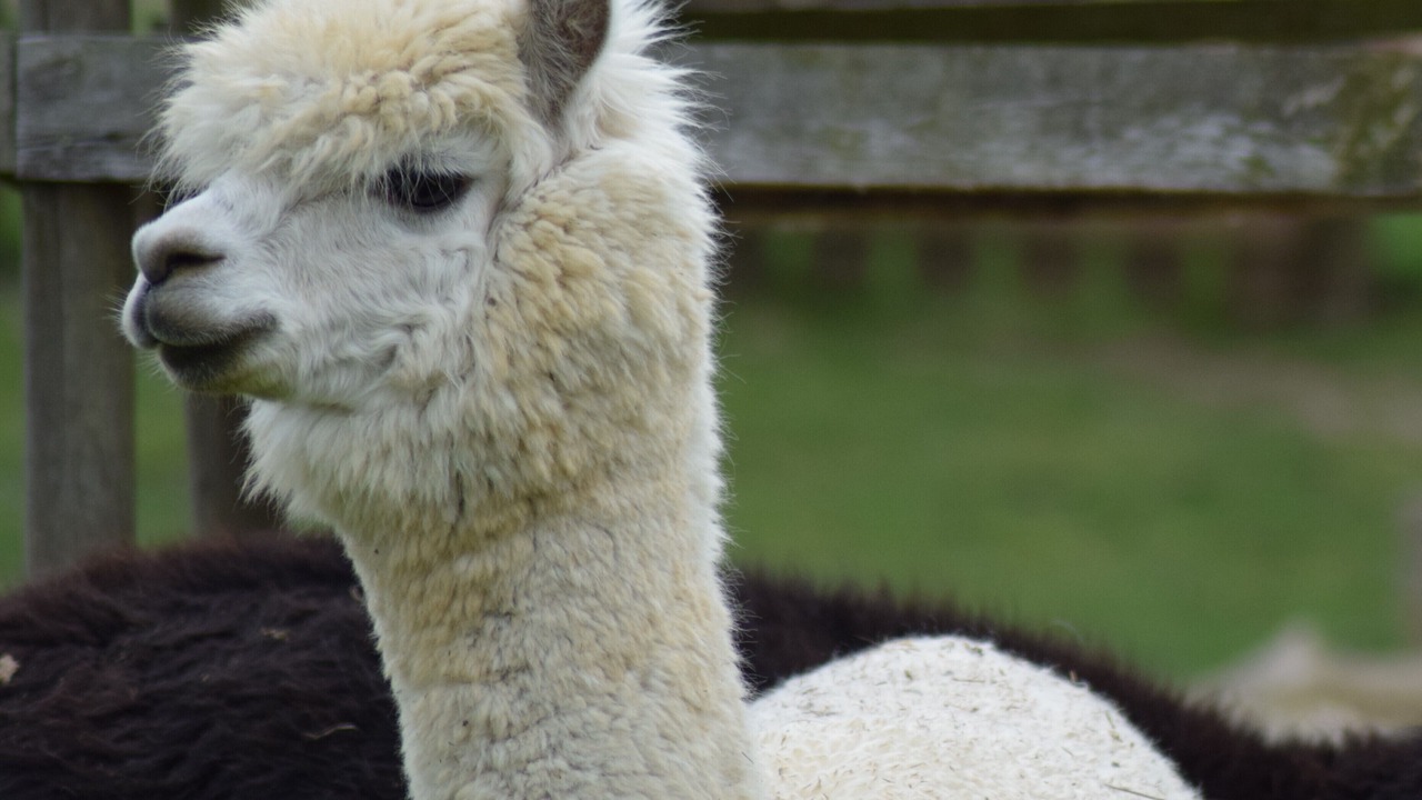 Photo of Outdoor in Josnes