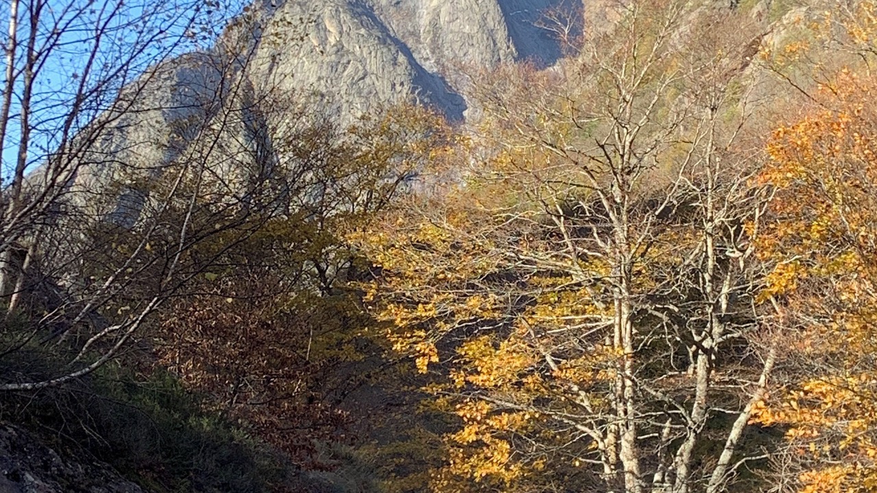 Photo of Outdoor in Orlu