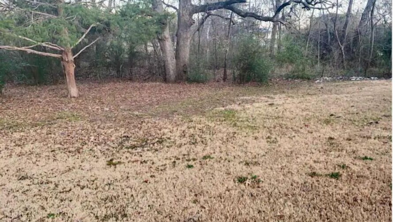 Photo of Others in South Arlington