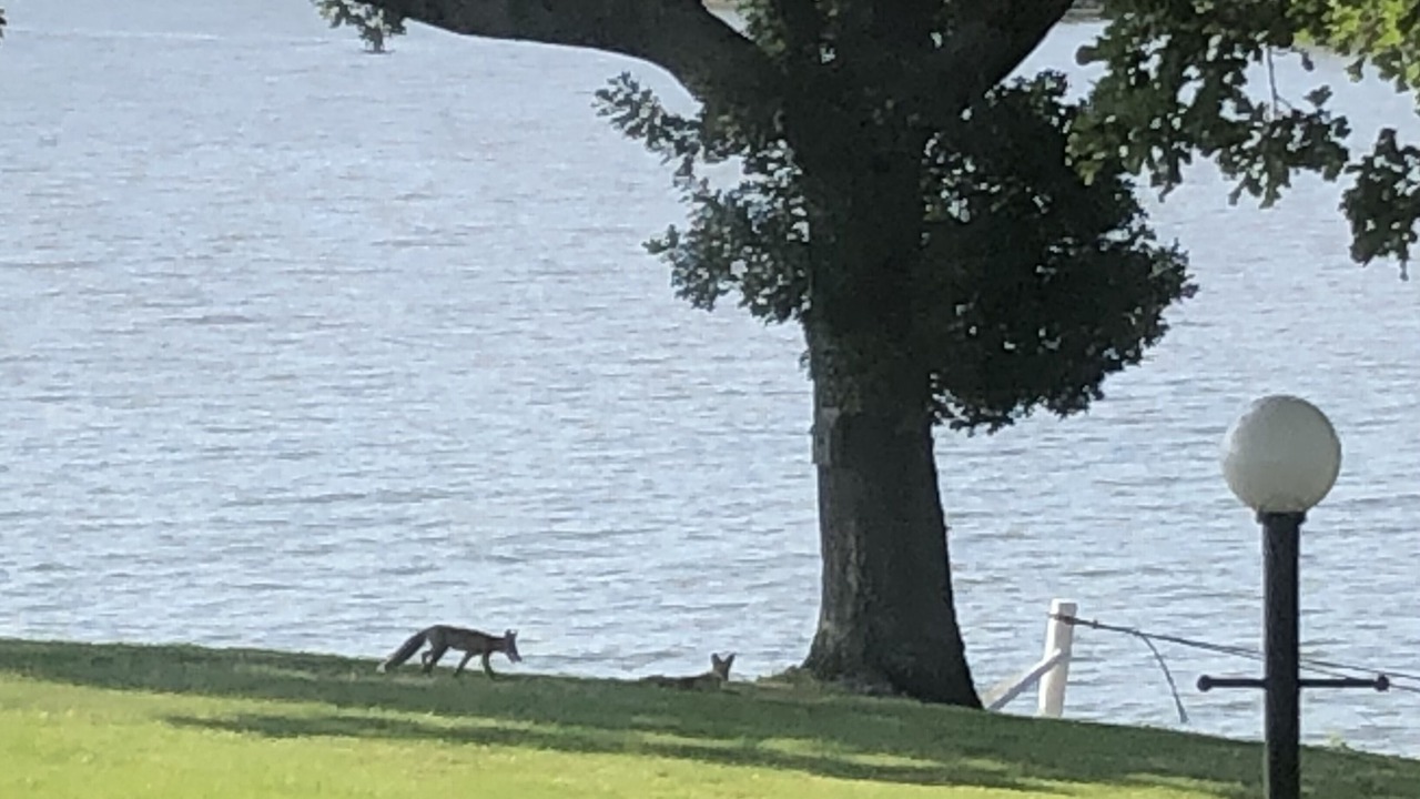 Photo of Outdoor in Adair
