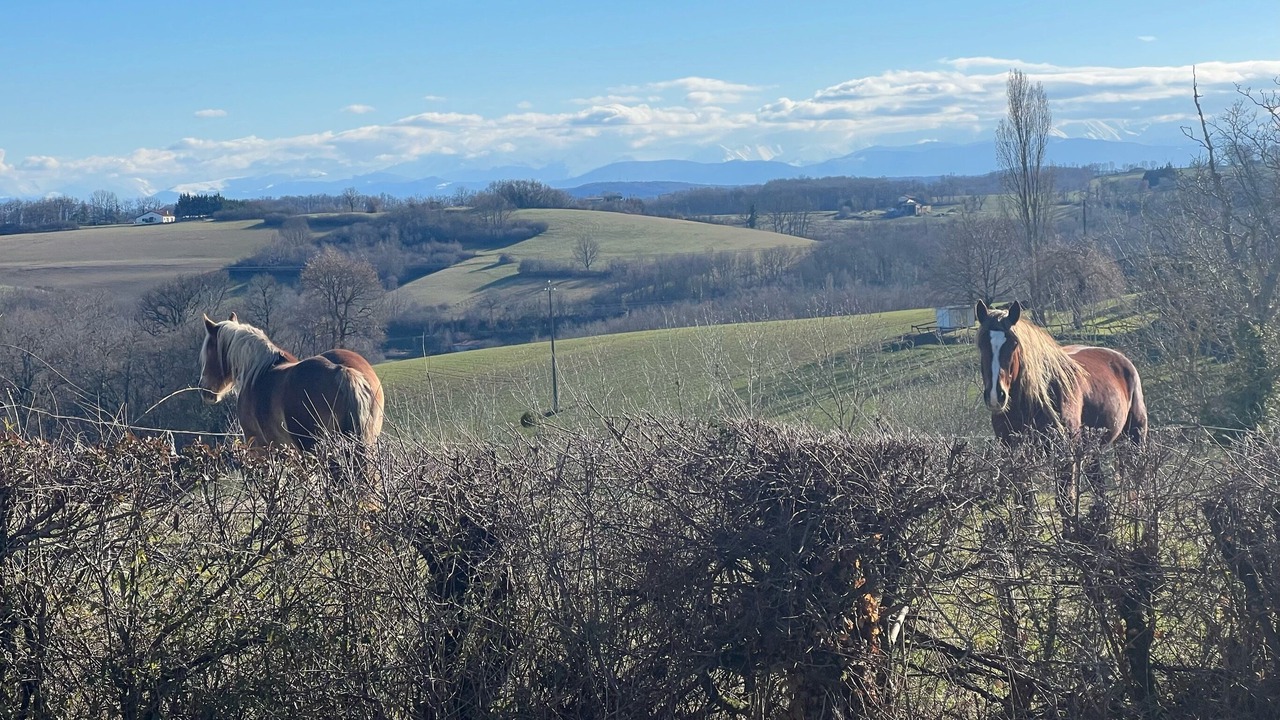 Photo of Outdoor in Fabas