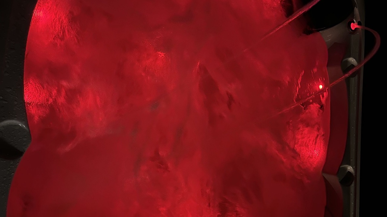 Photo of Others in Le Fief-Sauvin