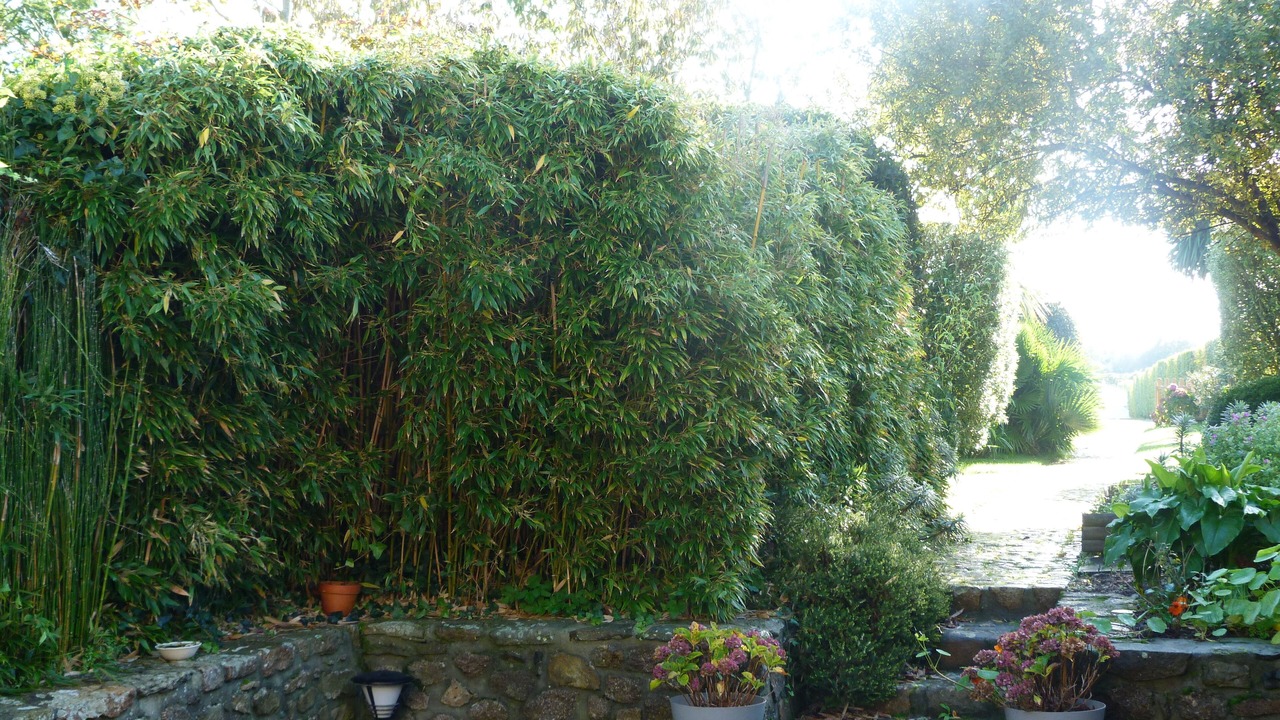 Photo of Outdoor in Gatteville-le-Phare