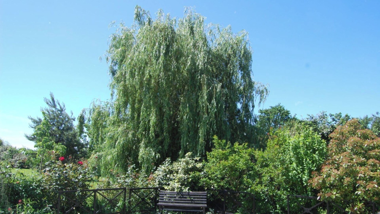 Photo of Outdoor in Saint-Nicolas-de-la-Grave