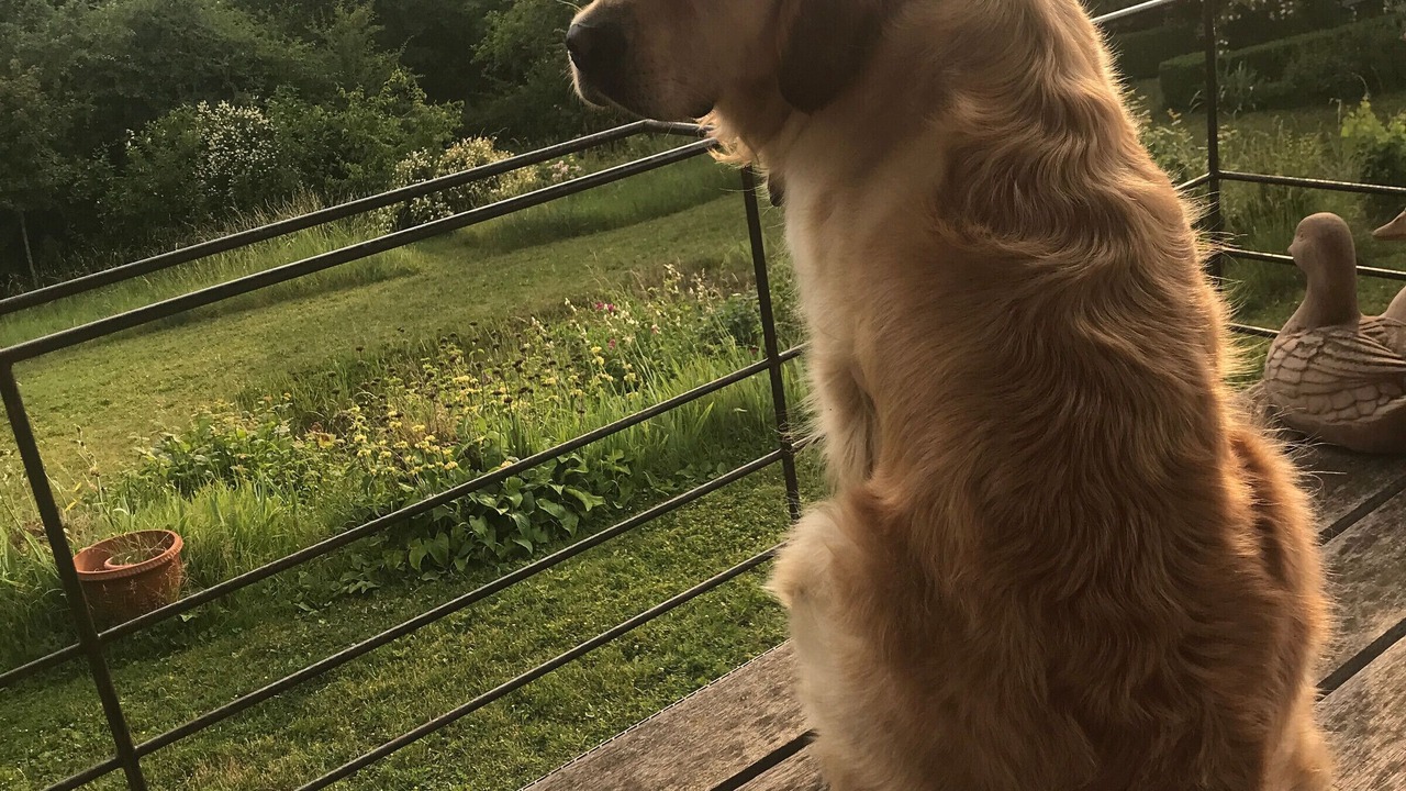 Photo of Outdoor in Chartres
