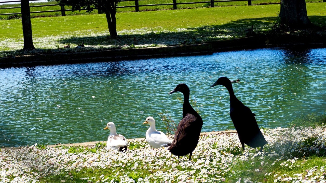 Photo of Outdoor in Vouilly