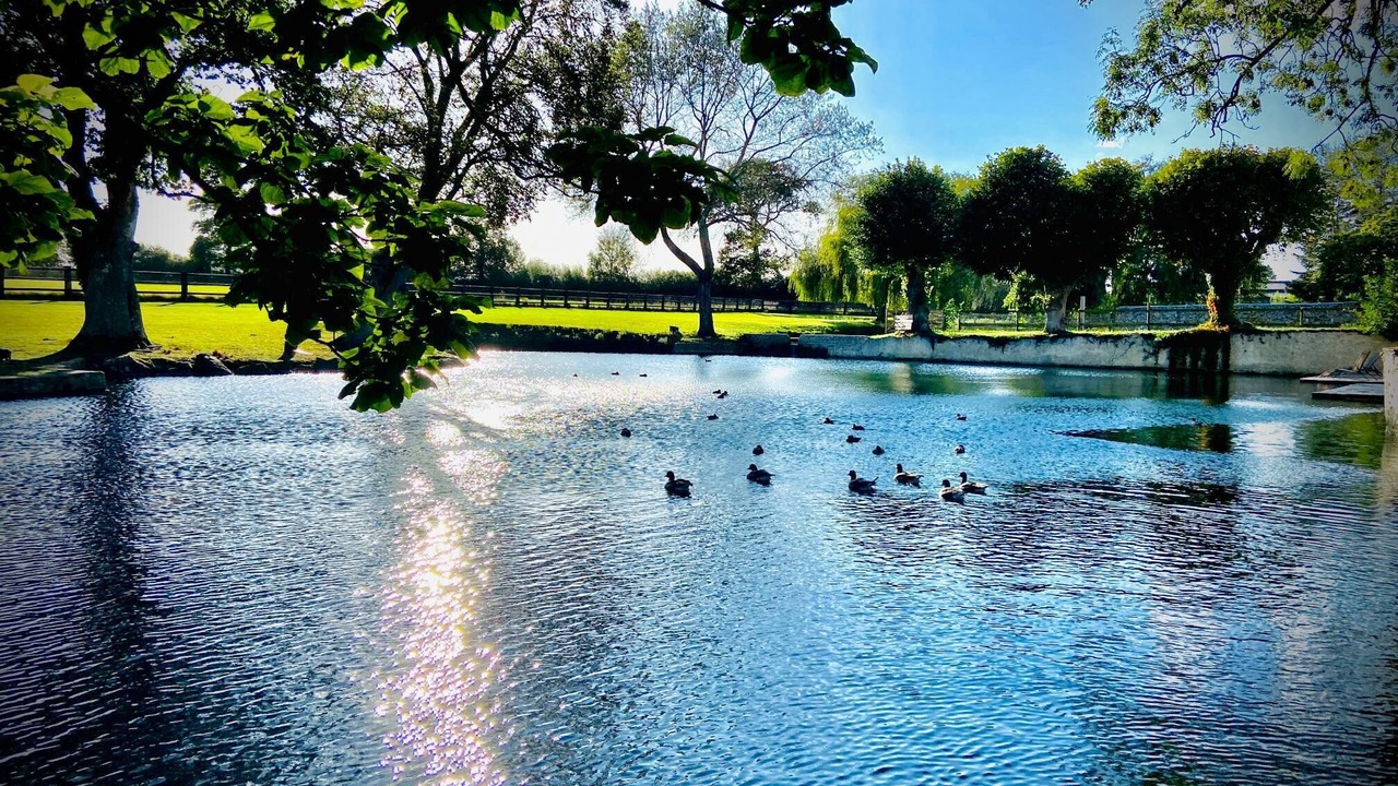 Photo of Others in Vouilly