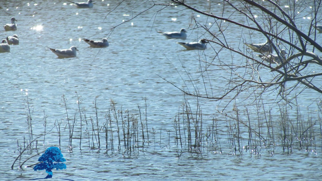 Photo of Outdoor in Sigean