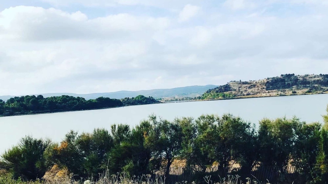 Photo of Outdoor in Sigean