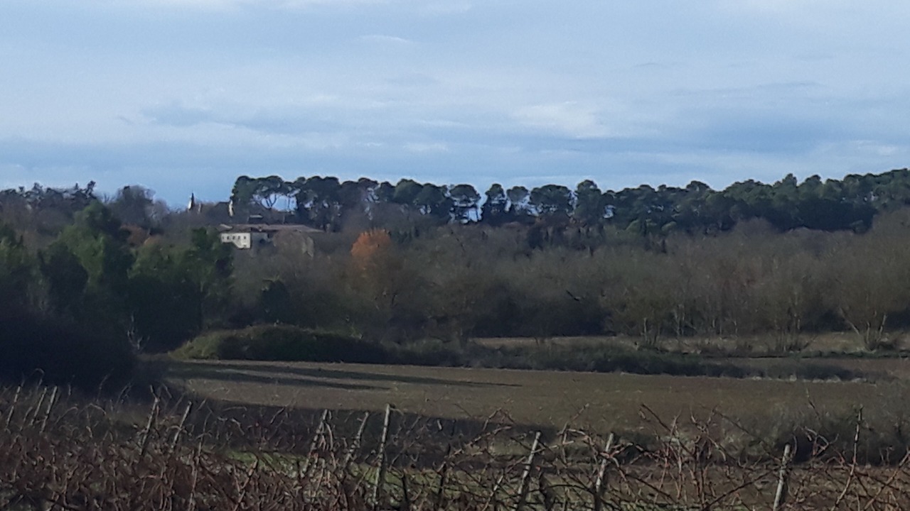 Photo of Others in Pennautier
