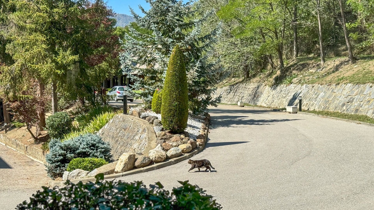 Photo of Outdoor in Enveitg