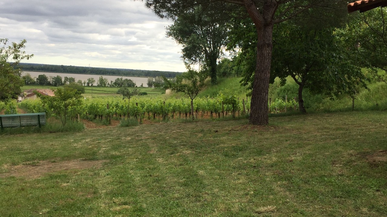 Photo of Outdoor in Bourg-sur-Gironde